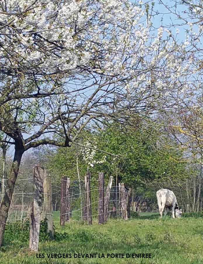 La Cense Pierrot Des Princes Saint-Amand-les-Eaux Exterior foto